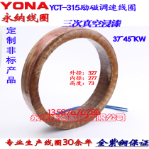 YCT-315 throttle motor excitation coil 45KW full copper full copper YCT315 4B