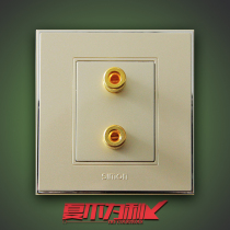 Simon Switch Socket 56 Series Champagne Gold One single Audio 86 Type 1 Sound speaker Audio V55401-56