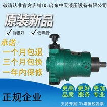 Plant pin 40SCY14-1B 63SCY14-1B 80SCY14-1B 100SCY14-1B axial piston pump