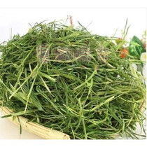 2021 New Premium Bake Oat Grass Hot Air Drying Hand Pick All Green Rabbit Totoro 250g