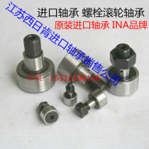 German imported bearing INA bearing roller needle roller needle bearing with eccentric sleeve bearing bearing KRVE30-PP-A