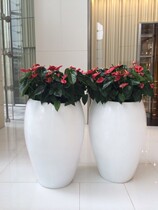 Hot sale glass fiber reinforced plastic flower pot sculpture hotel shopping mall Hall fashion flower pot decoration decoration creative landscape flower pot