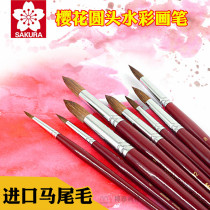 Cherry Blossom Watercolor Pen Pointed Water Powder Paint Wolf Milli Professional Paintbrush Dress Beginner Art Students Special Brush Brush