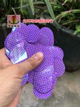New 30mm color purple check sequin earrings beads DIY material earrings hanging pieces Clothing accessories