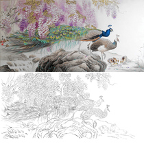  Gongbi painting Chinese painting white sketch manuscript Sun Xizhi four-foot banner wisteria peacock hook line physical white paper printing 091T