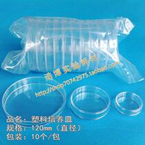 Disposable bacterial petri dish 120mm reinforced type 12cm cm plastic sterile flat dish high 2cm sterilized