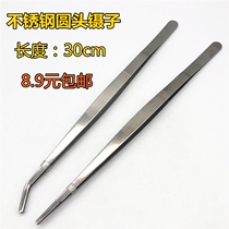 Spider Scorpion Centipede Feed Bread Worm Barley worm Cherry Dubia clip 25 cm Tweezers Pointed elbow