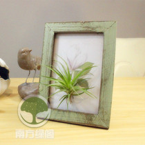 Southern Green Pavilion air pineapple creative gift DIY flower pot Office micro landscape green plant retro photo frame