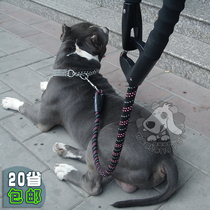 Italian Carefree Dog Short Traction Rope Foam Traction Belt Golden Hair Samo Alaska Medium Large Canine Traction Chain