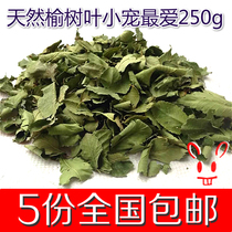 3 pieces of 18 - year elm leaves 250g grass can replace alfalfa rabbit grain dragon cat rabbit Dutch pig