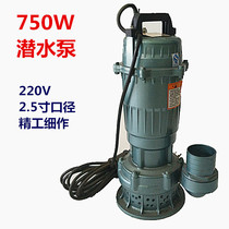 750W0 75KW2 5 inch submersible pump household agricultural irrigation and drainage underground pumping and washing truck 220V single phase