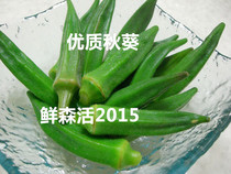 Fresh autumn sunflower Hexagonal bean goat bean corner 500 gr Beijing-Tianjin-Hebei Arbitrary 6 pieces
