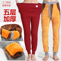 Thick Winter Five Layers Thickened Gold Kneecap Bento Year Red Lengthened Plus Velvet Warm Pants Thermal Pants Cotton Pants