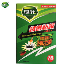 Green leaf cockroach sticky board cockroach cockroach cockroach House sticky cockroach board paper sticky cockroach board 20 set