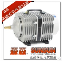 Physical operation Sensen ACO-016 electromagnetic air compressor 520W air volume 450L invoicing can