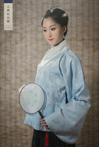 (Streamer)Hanfu custom Ming-made collar coat Waist-length embroidered pleated skirt Jiangnan Peach Blossom Home 2013 new product