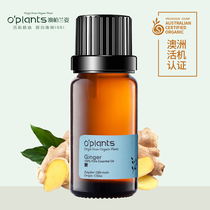 OPlants Ginger Essential Oil 10ml Australian certified quality non-chemical added essential oil