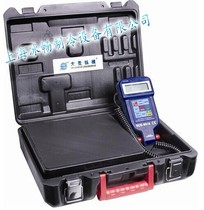 Dasheng high precision programmable electronic scale RCS-9030 quantitative filling electronic scale Portable electronic scale