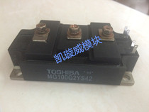 MG100Q2YS51 MG100Q2YS42 MG100Q2YS40 Original disassembly