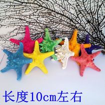 Send friends ultra-low-cost natural shell conch creative jewelry Wall sticker floor starfish Mediterranean decoration gift