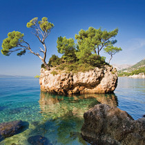 South Korea Shinhan wallpaper wallpaper murals M1179-1 M1180-1 M1182-1 M1183-1 M1184-1