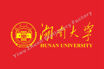 Lake South University Campus Banner 4 144X96CM Dingmaking Banner Flag College Flag Sports Flag Volunteer Flag