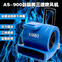 Jinba AS-900 Three-speed hair dryer High-power ground blow dryer Carpet blow dryer Speed control floor blow dryer
