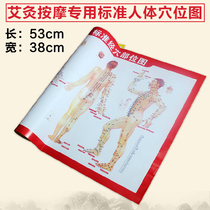 Nojia Schumei massage instrument standard human acupoint map large wall chart whole body acupuncture meridian map relaxation medic