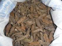 2020 thrush bird-eating bird insect skin worm (total product New skin worm) 500g 1kg
