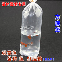 Aquarium fish shrimp live transport bag transport live fish ornamental fish plastic fish bag thick square bottom bag