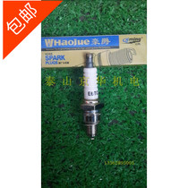 Petrol-generator petrol engine Petrol Engine Mower Spark Plug with a spark plug E6TC