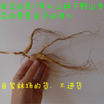 Mountain ginseng northeast Changbai Mountain under-forest ginseng wild ginseng for more than 17 years