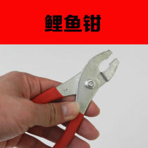 DIY5 inch carp forceps inventory handling goods