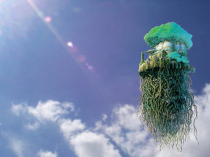 Model deposit special shot