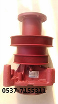 Shangong Liugong Longgong 50 Loader Forklift Accessories Weichai Steyr 615 Engine Water Pump