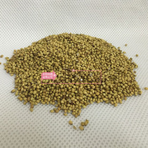 INDIAN FOOD INDIAN FOOD SPICE CURRY CORIANDER SEEDS. CORIANDER SEEDS CORIANDER SEEDS