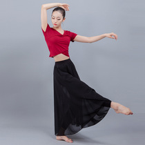 Modern dance dress female adult V-collar front cross yoga Latin Dance Top short sleeve modal uniform