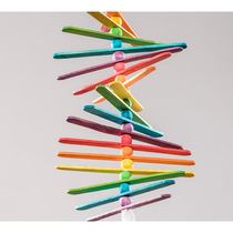 Caitec American Parrot Toy Bird Destructive vent Gnawing toy Wood dragonfly Suitable for birds