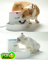 Pet cat water dispenser pump automatically drinks water Corgi likes to kick and not turn over the drink well