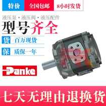 PANKE import gear pump PV6-125-01A01FR PV6-125 80100 45 180-01A01FR