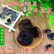 Northeast black fungus dry goods autumn fungus small Bowl autumn Daxinganling fungus specialty 250g