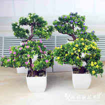 Simulation basin view tree home office decoration small pine tree potted plant simulation flower potted plant simulation tree planting