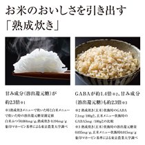 Japanese relatives Zojirushi NP NP NI10 NI18 bj10 bj18 bg10bg18 Rice Cooker