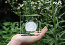 Creative gifts Dandelion crystal ornaments Cube plant specimens Colleagues girlfriends classmates Promotion birthday gifts