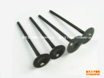 Applicable silver blade BJ250T-8 valve intake valve exhaust valve valve oil seal