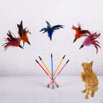 Cat Toy Teasing Cats Feather Pet Kitty Supplies Peacock Feather Bucket Cat kitty Cat Young Cat smiles for a short cat