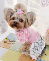 Lace Little Rabbit Rabbit ~ Cute Pet Four Leggings Pooch Teddy Yorkshire Clothes Spring Summer Dress Conjoined Pants