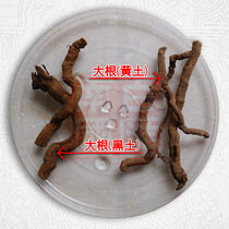 New sun Hainan Xinglong bulk pepper root 500g large straight main root section pure root No matching vine pure root