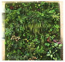 New Emulation Plant Wall Accessories Background Wall Green Planting Wall Plastic Fake Carpet Balcony Decorate Green Background Wall