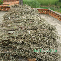 2019 Wild Ai Pure natural Ai Wormwood with leaves and rods Ai Qi Ai Big leaf Ai Man 2 pieces